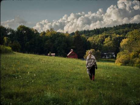 the meadow
